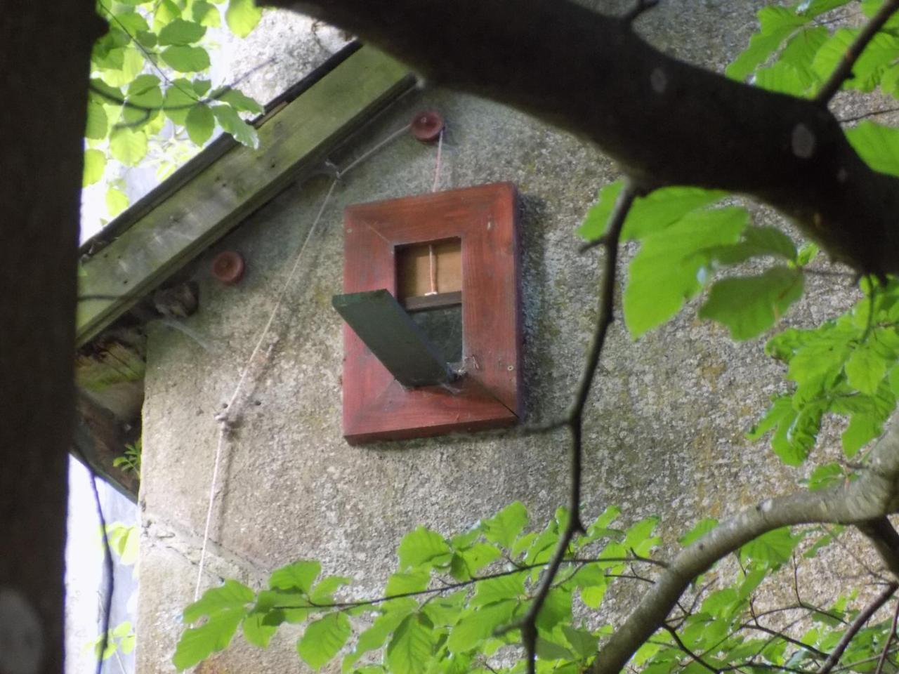 B&B Les Tilleuls Vielsalm Kültér fotó
